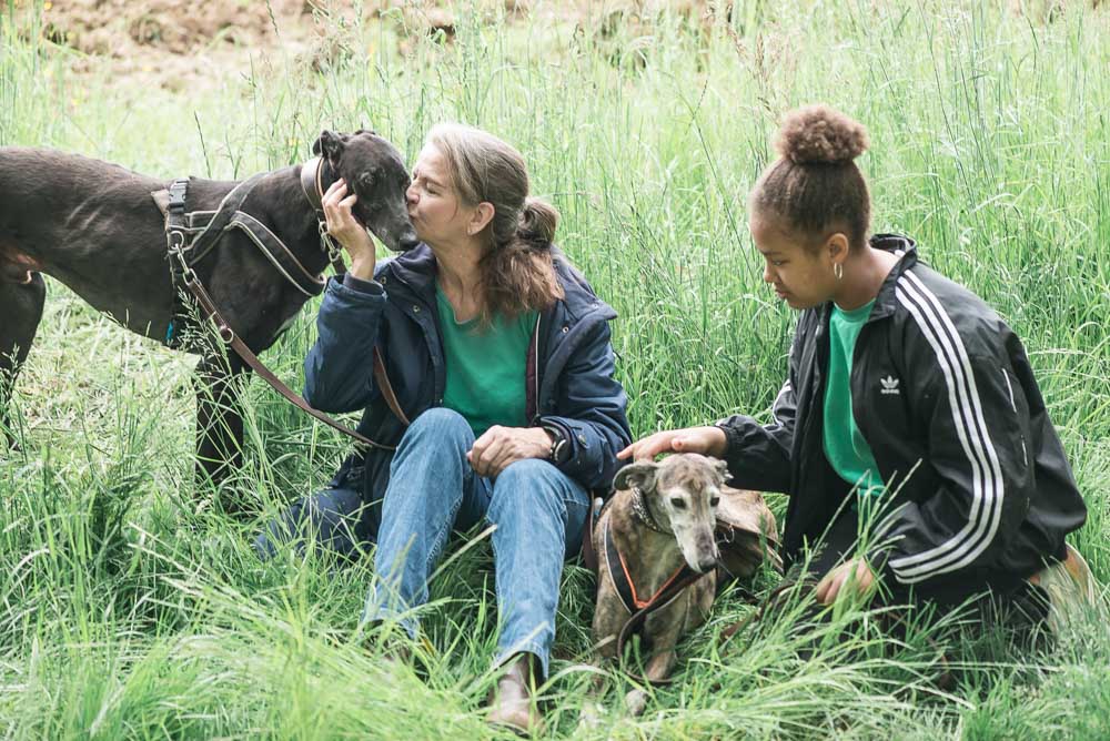 DogSharing ist eine optimale Möglichkeit um Hunde zu sozialisieren.