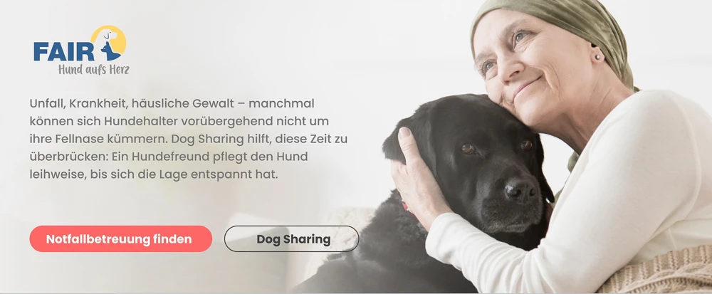 Notfallbetreuung für Hunde