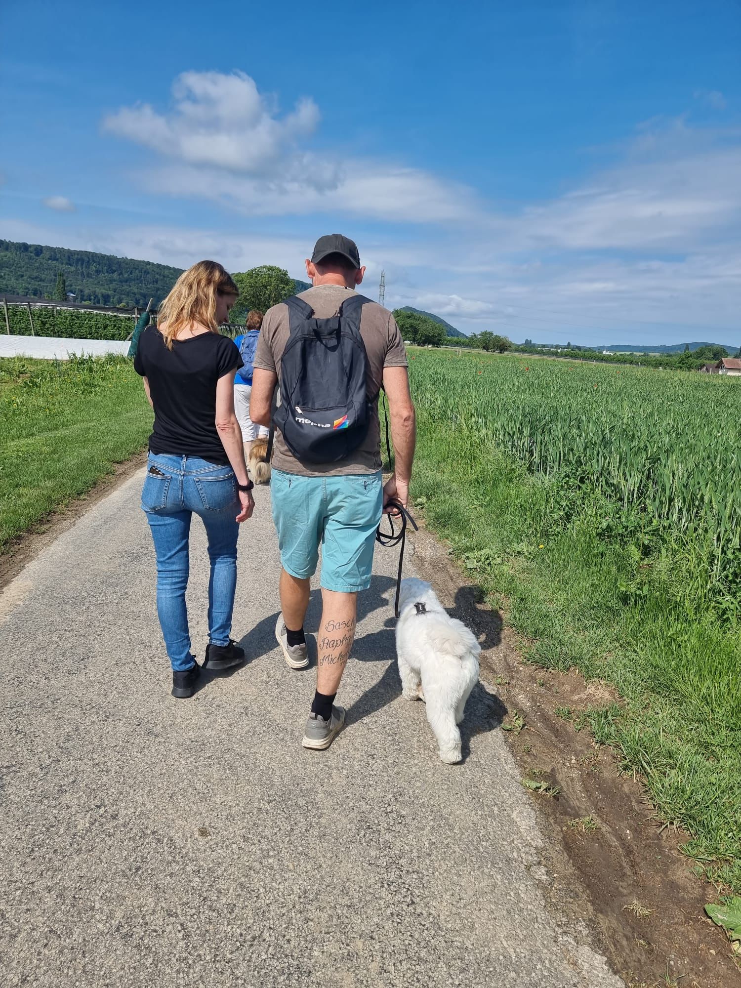 Dog walks with Sämi Weitzel.