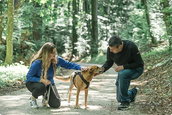 Glücklicher Hund mit Halter und Hundefreundin