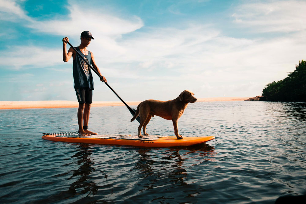 Urlaub mit Hund auf dem Stand-Up Paddle. Foto: Marco Lopez