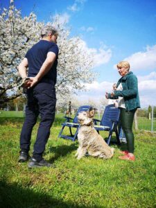 Mensch-Hund Beratung mit Masha Gudrian, damit der Hund folgen und respektieren lernt.