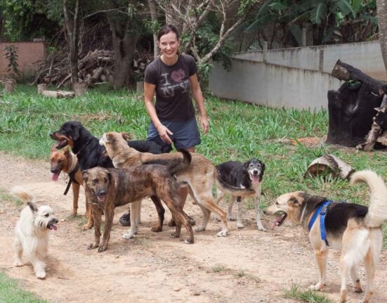 Tierschützerin Claudia Lang setzt sich für Hunde ein: Für Hunde in der Nachbarschaft genauso, wie für Hunde von der Strasse und auf ihrer DogSharing Plattform.