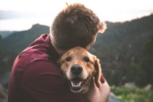 Ein Mann umarmt einen glücklichen Labrador. Verständnis ist das Ziel vom Persönlichkeitstest für glückliche Mensch-Hund Beziehungen. Foto Eric Ward, unsplash.