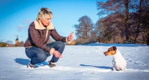 Ängstlicher Hund, aggressiver Hund oder Hund folgt nicht? Der Schlüssel ist Vertrauen.