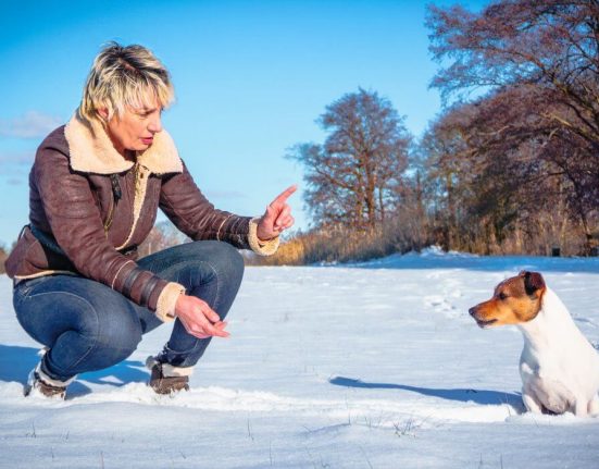 Ängstlicher Hund, aggressiver Hund oder Hund folgt nicht? Der Schlüssel ist Vertrauen.