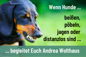 Andrea Wolthaus, Hundetrainerin, Deutschland