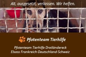 Pfotenteam Tierhilfe