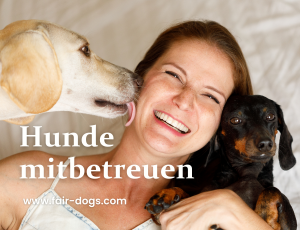 Liebst du Hunde, hast aber keinen? Geniesse Hunde in deiner Freizeit, gehe Gassi und multipliziere Freude. Meld dich gleich beim DogSharing an.