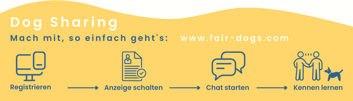 Dogsharing: So einfach geht's: Registrieren, Anzeige schalten, Chat starten und sich kennen lernen.