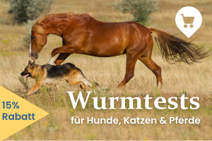 Wurmtest kaufen