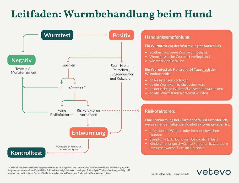 Würmer sind Parasiten und schaden Hunde