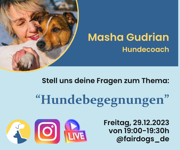 Masha Gudrian Instagram Live with fairDogs