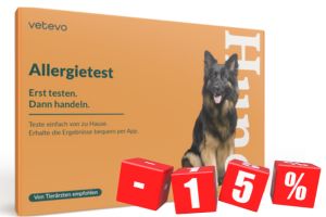 Allergietest für Hunde günstig via fair-dogs.com kaufen