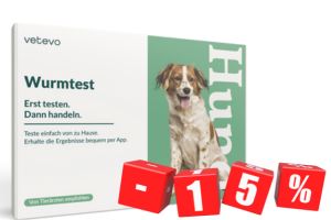 Wurmtest für Hunde günstig via fair-dogs.com kaufen