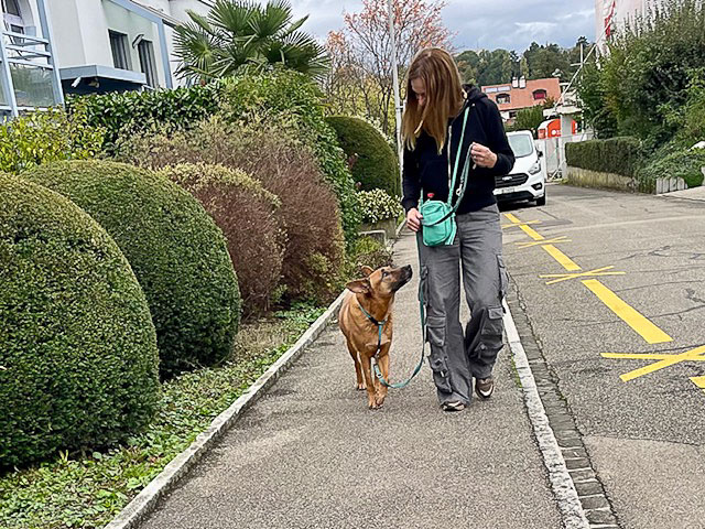 Claudia Lang geht Gassi mit ihrem Hund Thor 2024. Wichtig ist eine durchhängende Leine und immer wieder Blickkontakt zwischen Halter und Hund.