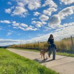 Spazieren mit Hund ohne Stress bei Hundebegegnungen. Claudia D. Lang mit Mischlingshund Thor aus Brasilien. 2024