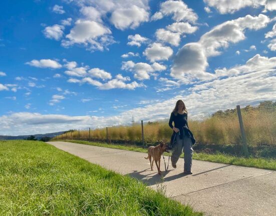 Spazieren mit Hund ohne Stress bei Hundebegegnungen. Claudia D. Lang mit Mischlingshund Thor aus Brasilien. 2024