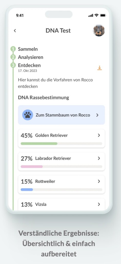 Hunde Rasse bestimmen für Mischlinge