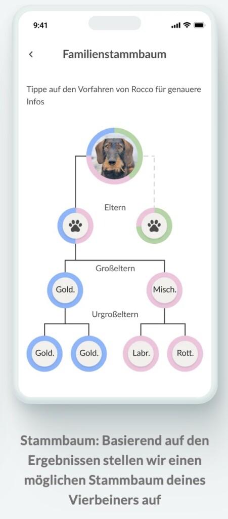 Familienstammbaum Hund mit Rassebestimmung