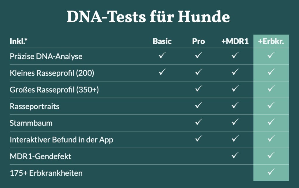 Die Tabelle zeigt die verschiedenen DNA Tests von Rassebestimmung bis Erbkrankheiten Hund.