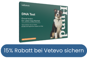 DNA Test Hund Kosten - günstig mit Rabatt kaufen